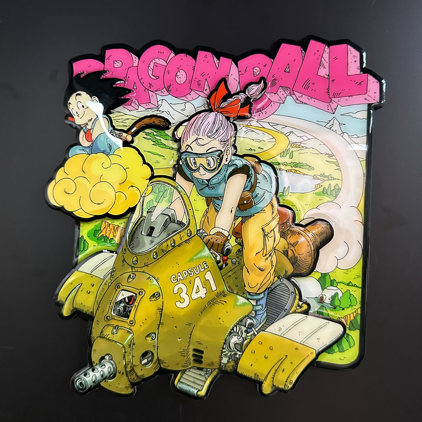Dragon ball Z Big fridge magnet !