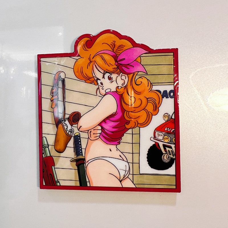 Dragon ball Z Fridge Magnet